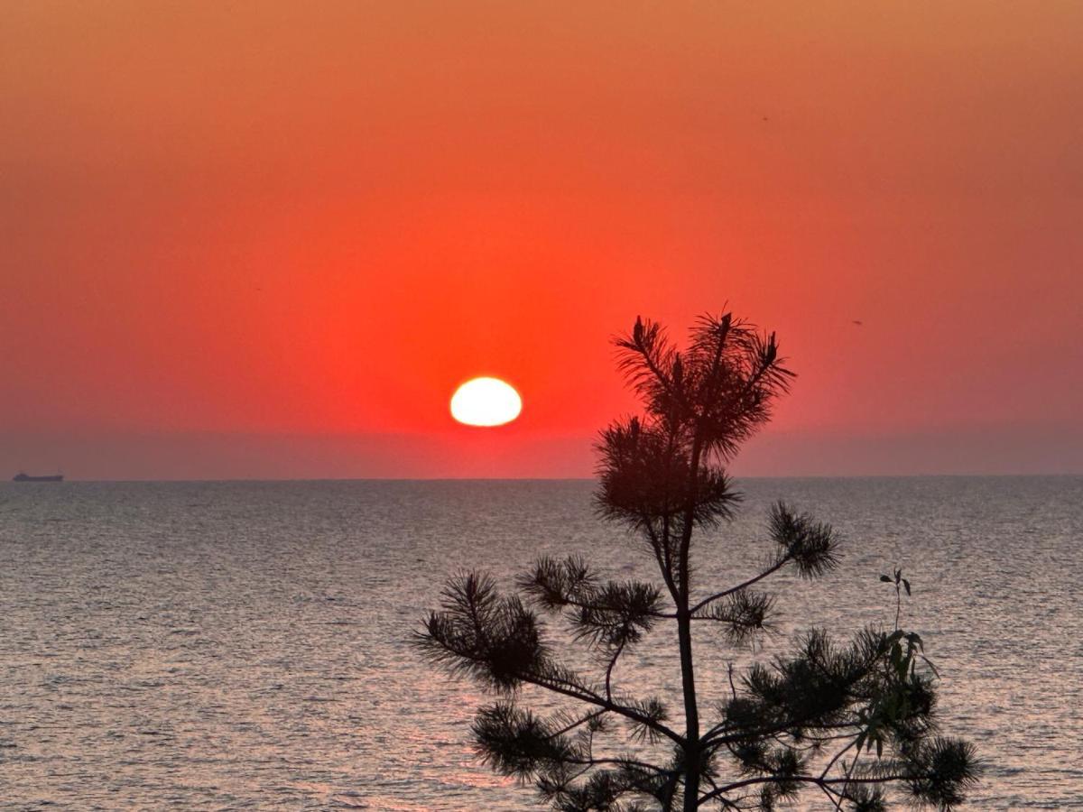 Wave Resort & Spa Magic Apartaments With Sea View Miedzyzdroje Εξωτερικό φωτογραφία